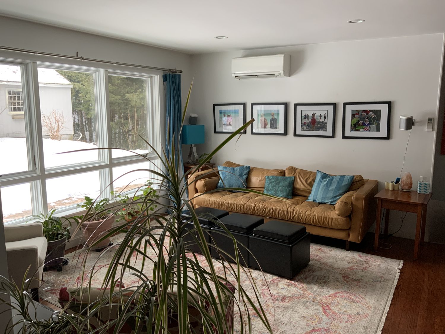 Bright living room with wall of windows
